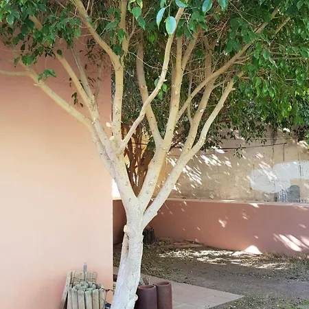 Strelitzia Park Aparthotel