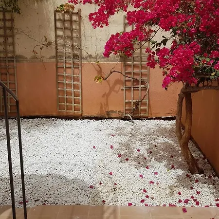 Appart hôtel Strelitzia Park San Miguel de Abona